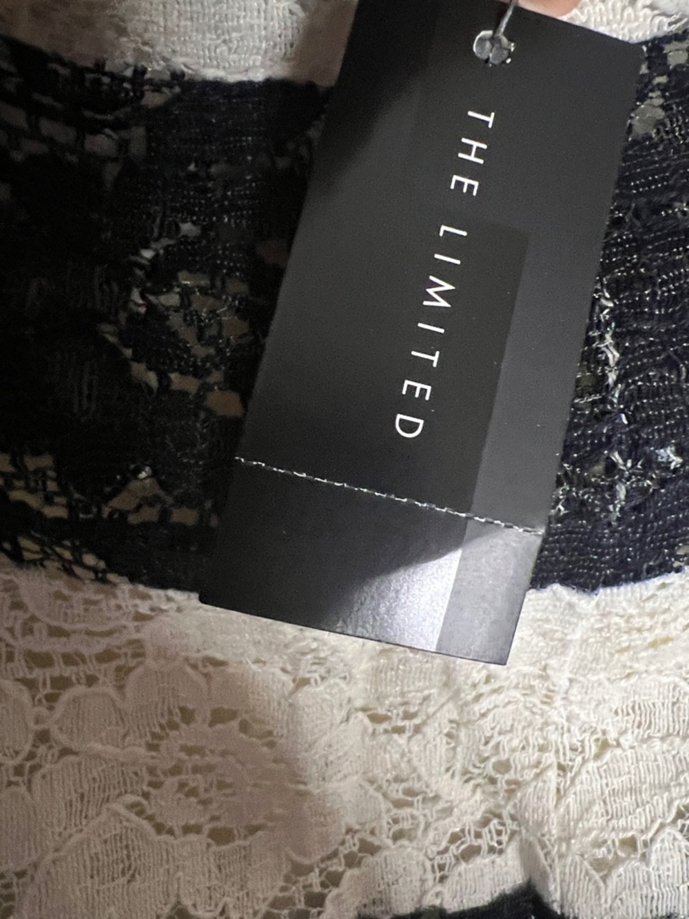 The Limited Striped Lace Pencil Skirt in White and Navy - Picture 4 of 4
